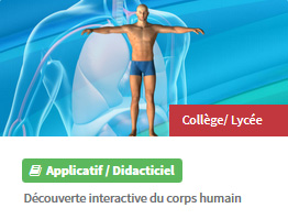 Corps humain 3D